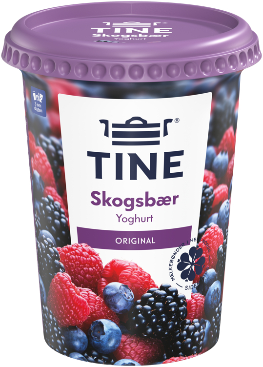 Yoghurt skogsbær    500g