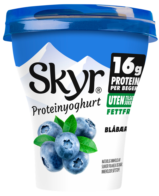 Skyr blåbær/vanilje beg 160g