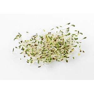 Alfalfa sprouts  ca 100g/ pack