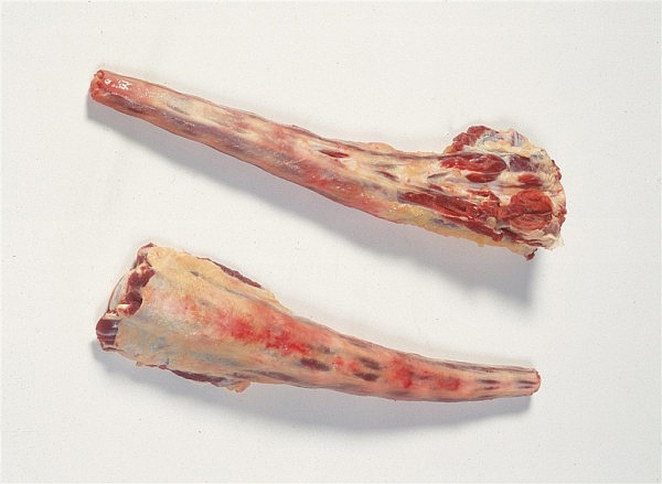 Storfehaler ca10kg kg