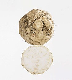 Sellerirot kg