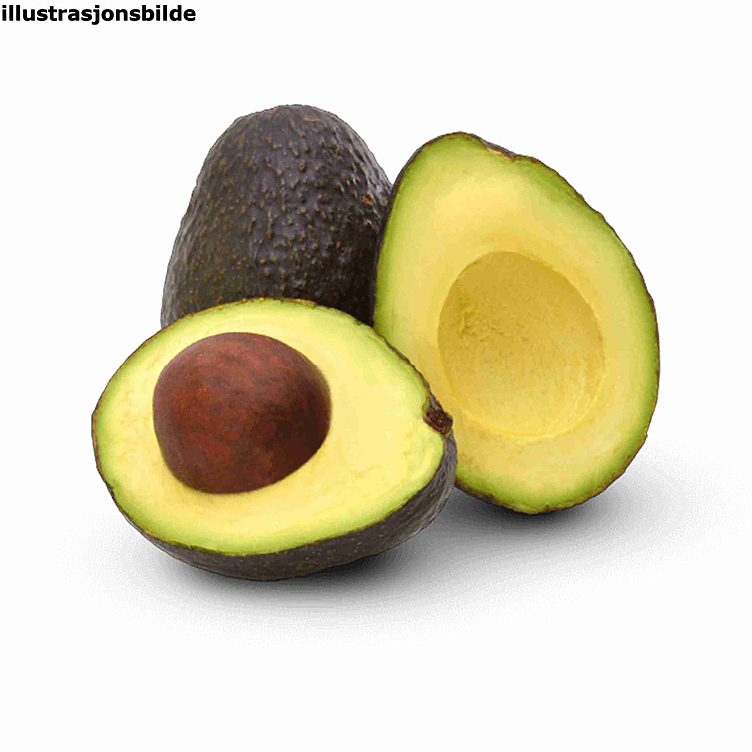 Avokado modnet  stk