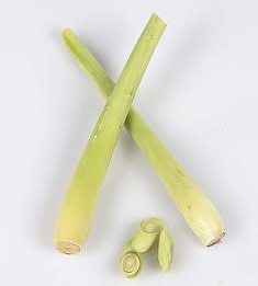 Sitrongress  kg