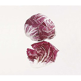 Salat raddichio rosso stk