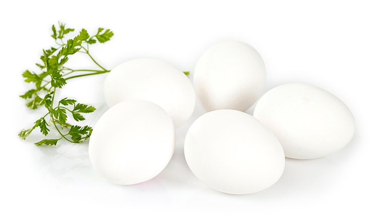Egg mlxl 30 økol. 15,2kg