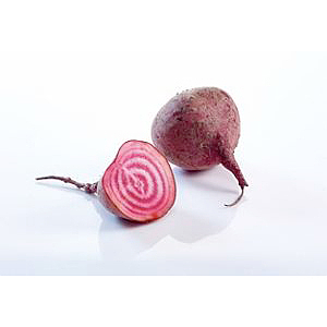 Polkabeter, chioggibeter kg