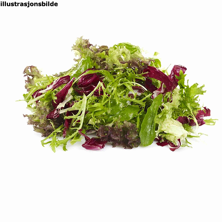 Salat restaurant   400g