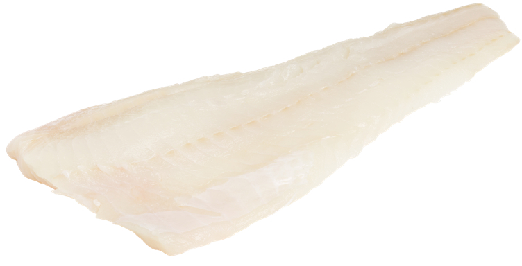 Torskefilet u/skinn fersk ca.5kg kg