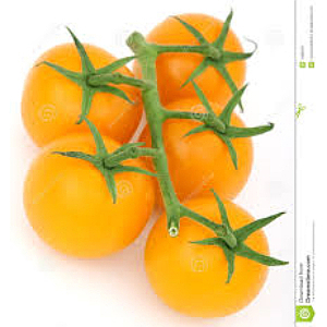 Tomater cherry gul250g pk