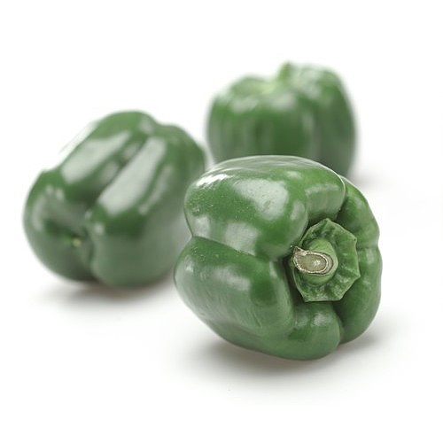 Bell pepper green in plastic   kg