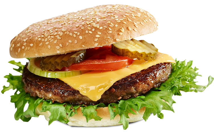 Hamburger spesial rå  250g 18stk   4,5kg