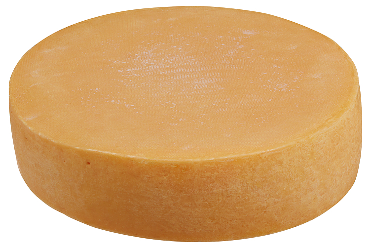 Rød ku   ca3,5kg