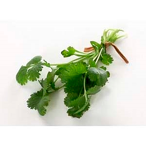 Koriander  500g