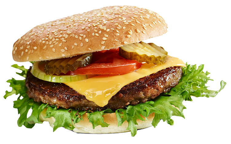 Hamburger 80x60g