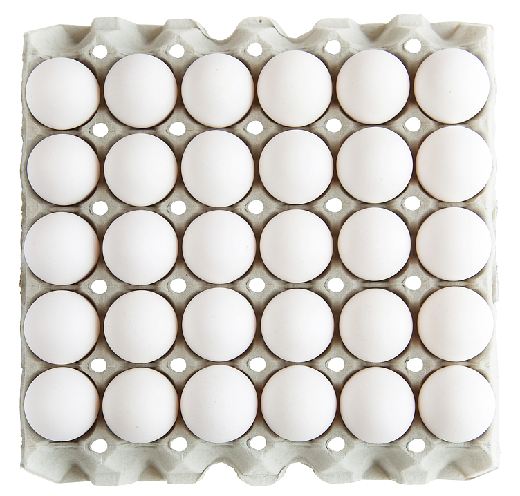 Egg medium  30pce