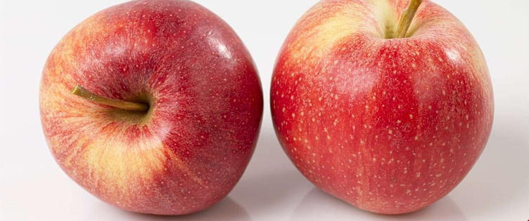 Epler import royal gala kg