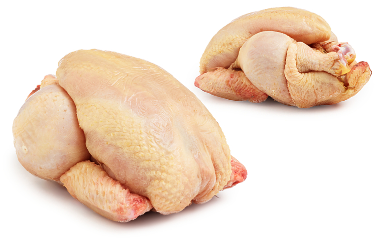 Vårkylling gul   8xca500g   kg