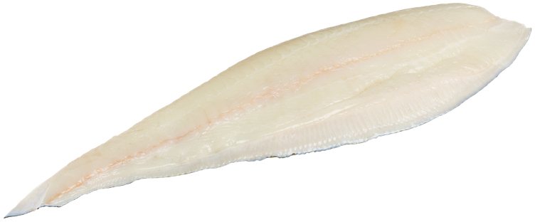 Kveitefilet m/skinn ca.5kg kg