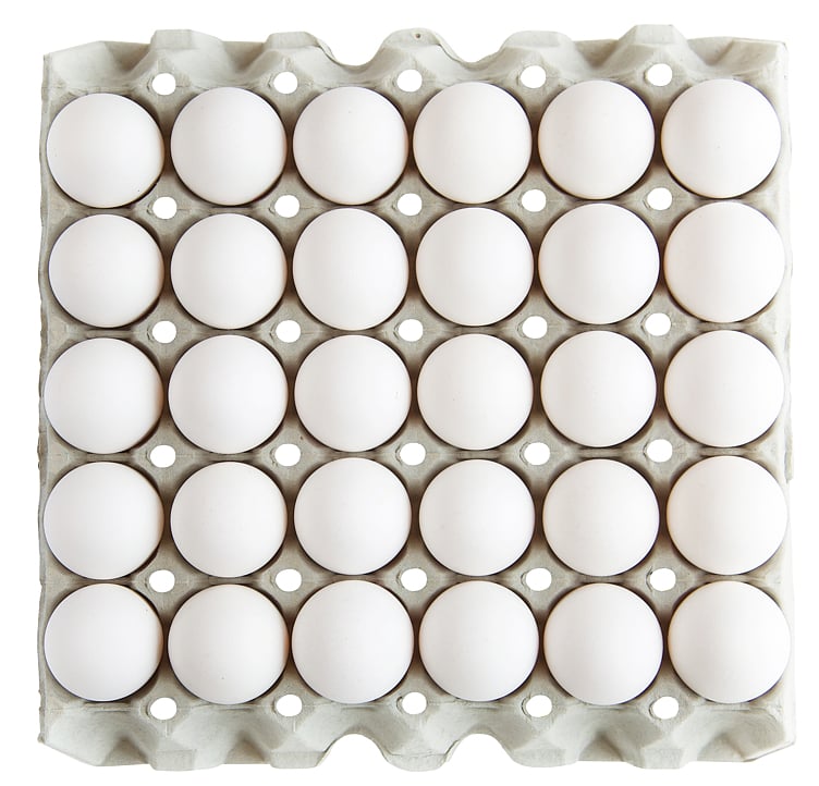 Egg l fra frittgående høner 30stk