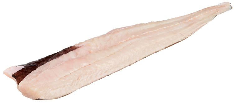 Lysingfilet m/skinn ca.5kg kg