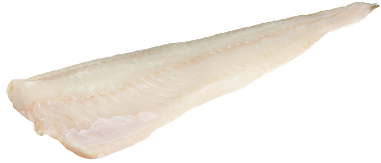 Torskefilet m/skinn fersk ca.5kg kg