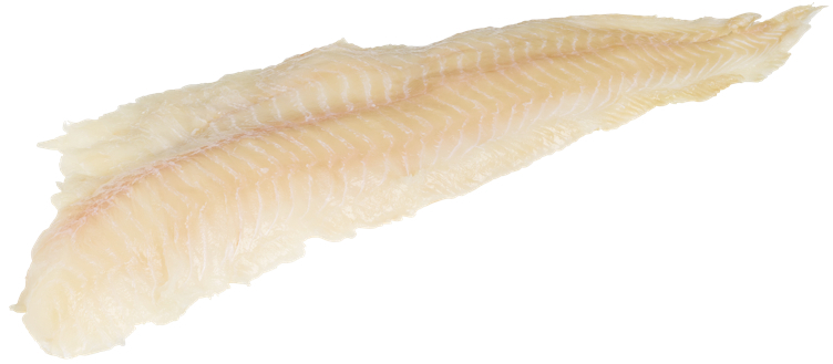 Brosmefilet u/skinn fersk ca.5kg kg