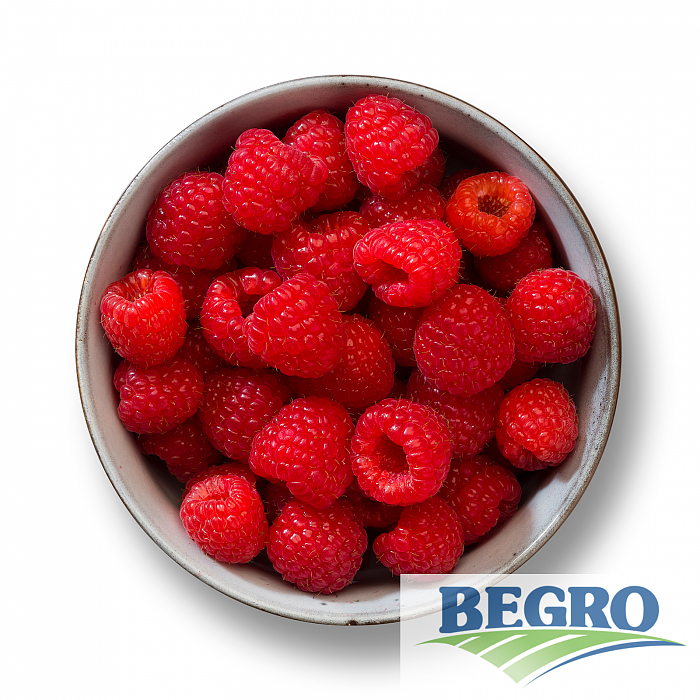 Bringebær 4x2,5kg  t  kg