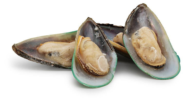 Green shell nz lqf halvskjell  30-45 pr kg   800gr