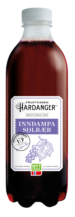 Inndampa solbær  1l