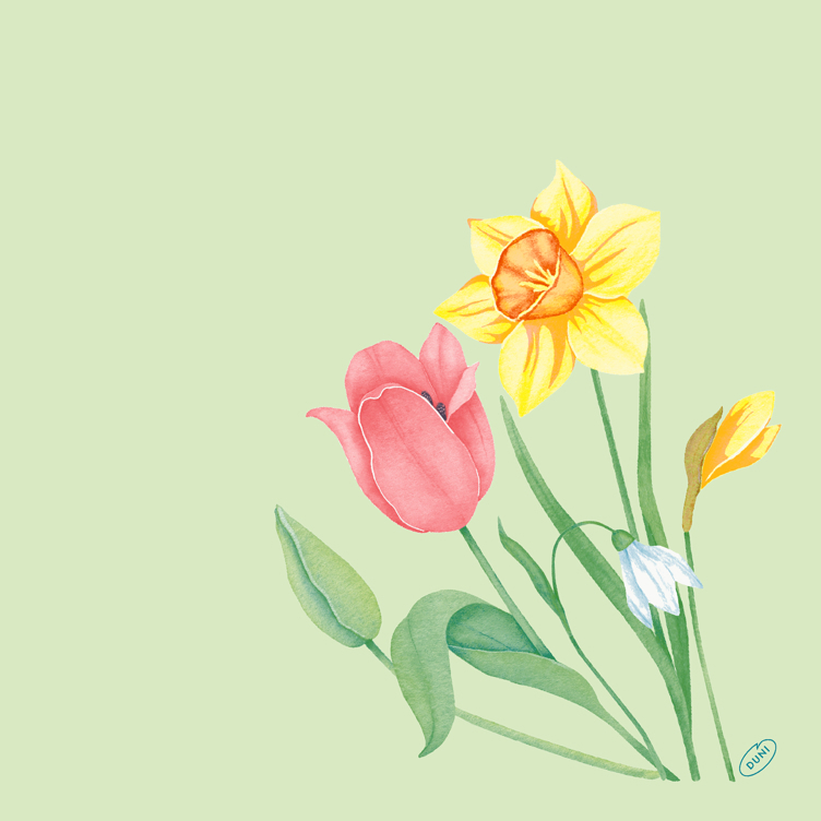 Serviett dunisoft spring melody 40cm 60stk