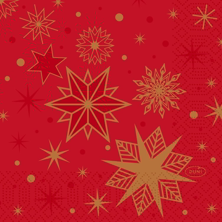 Napkin 3l 24cm stargazing red  50pce