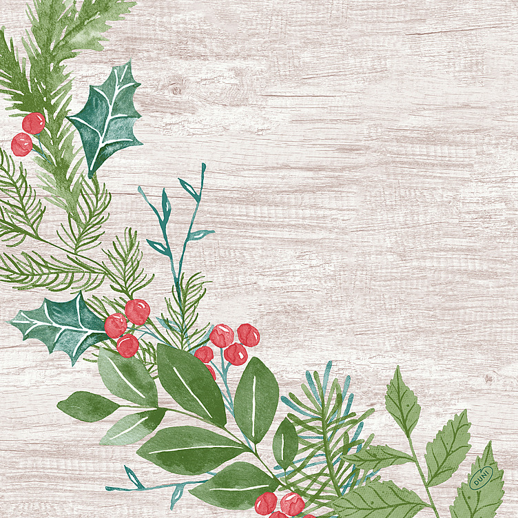Serviett dunisoft winter greene   40cm   60stk