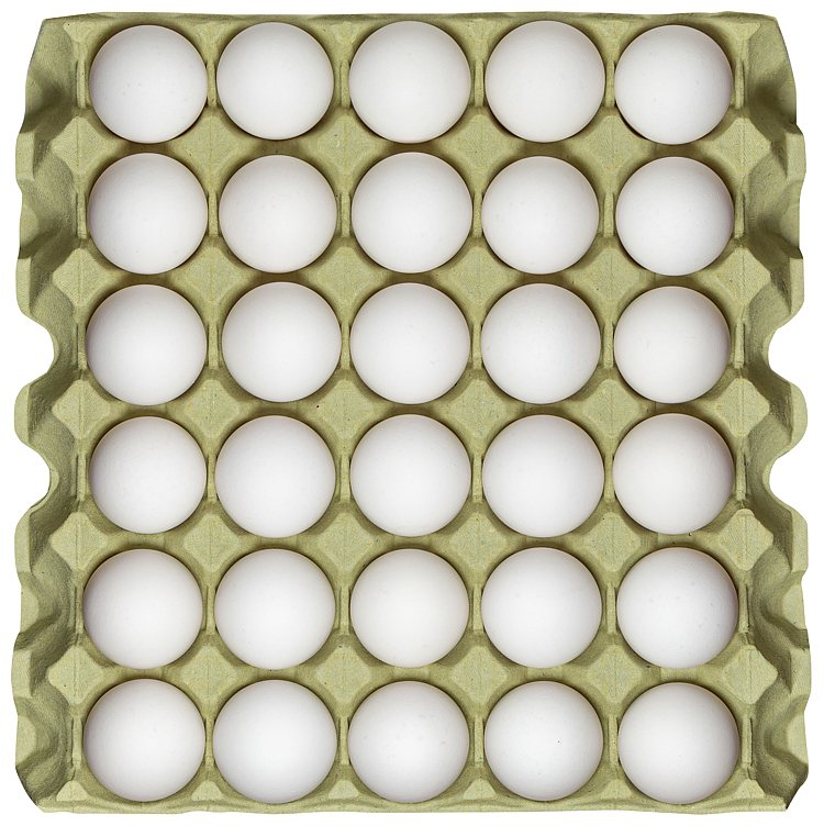 Egg medium/large x8 x16  30stk