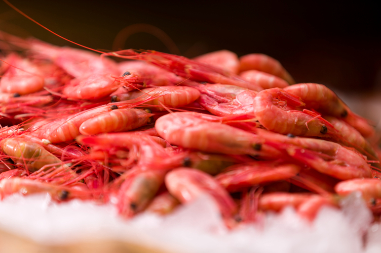 Reker ferske nord   ca15kg   kg