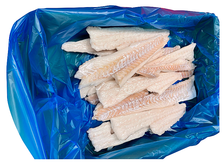 Torskefilet premium uten loin, iqf-fryst 10xca1kg  kg