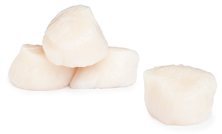 Kamskjell 10/20 20% glaze   1kg