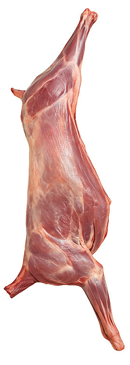 Kje hel slakt rå  kg