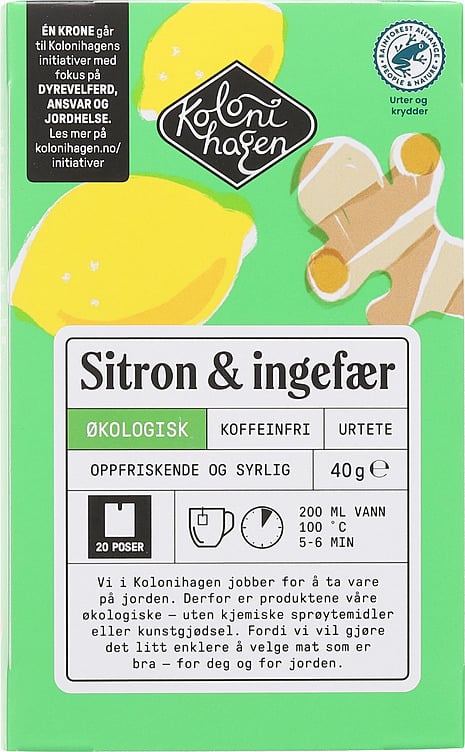 Te sitron & ingefær infusion  20bg