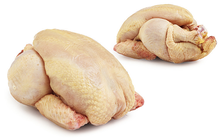 Vårkylling gul  500g