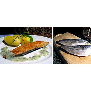 Makrellfilet m/skinn 90-150g  5kg