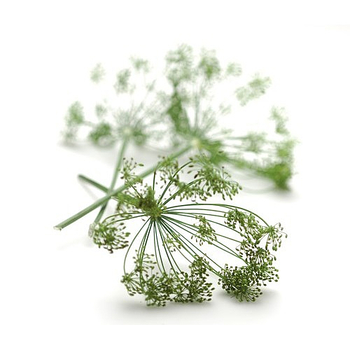 Krondill bunt 150g   stk