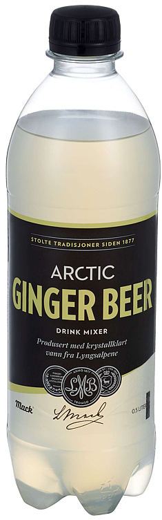 Mack arctic ginger fl   24x0,5l