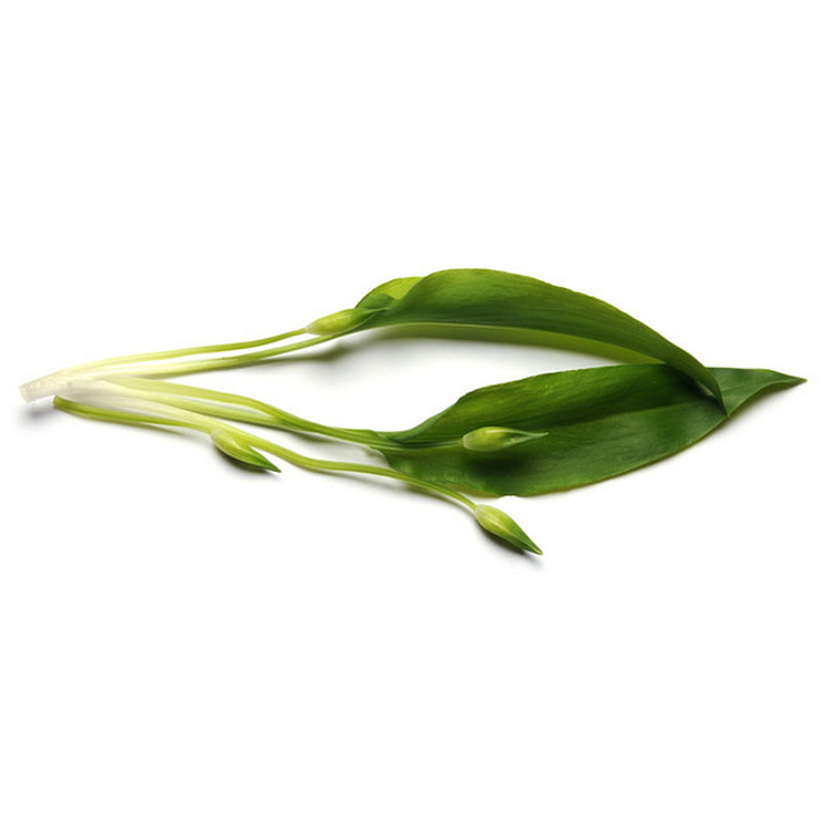 Ramsons