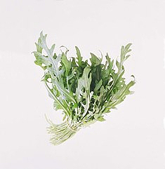 Salat ruccola 100g       pk
