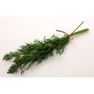Dill fresh bundle 250g