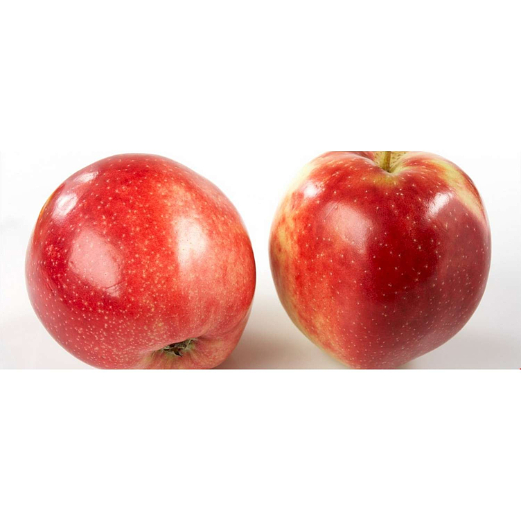 Apples norwegian       kg