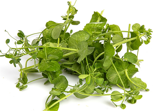 Karse salad pea  100g