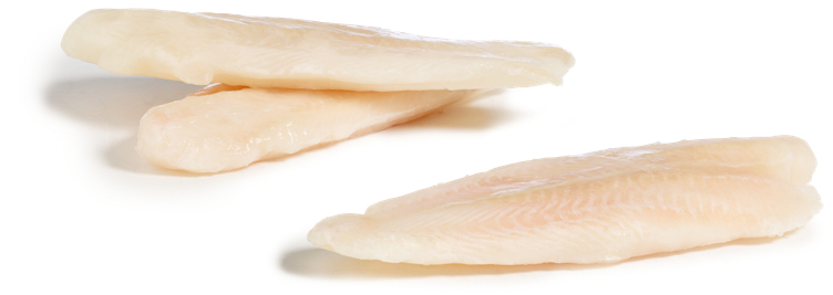 Pangasius fillet 170/230 80% glasering iqf  1kg