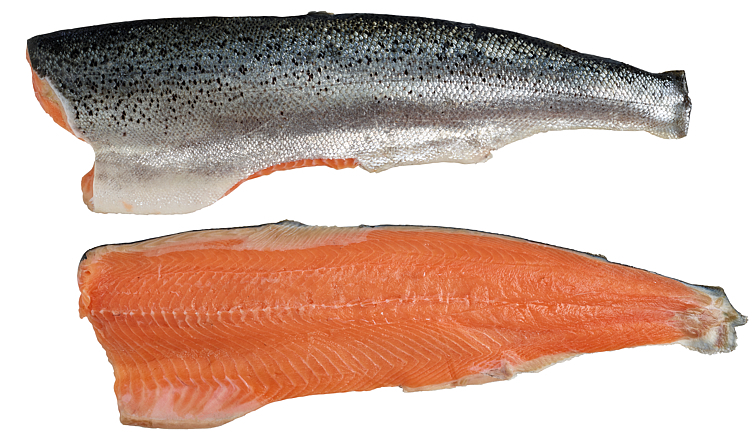 Laksefilet c-trim  0,6-1,0kg  ca.13kg      kg