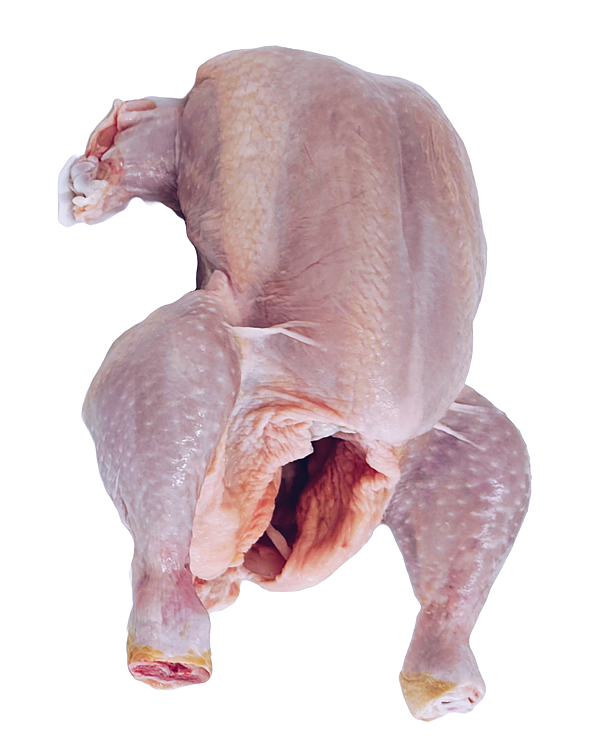 Kylling hel halal 1300g  13kg